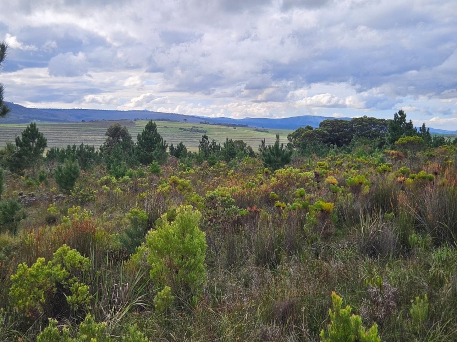 2 Bedroom Property for Sale in Baardskeerdersbos Western Cape